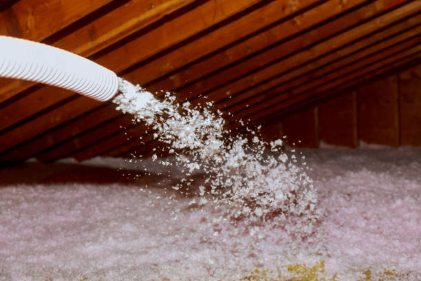 Best Eco-Friendly Insulation in Warrensville Heights, OH