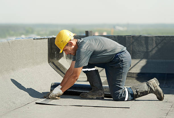 Best Insulation Maintenance and Repair in Warrensville Heights, OH